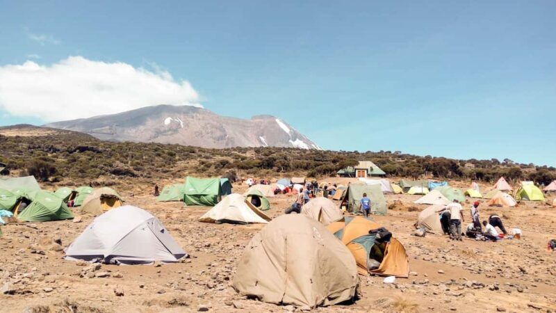 Kilimanjaro: 7-Day Kilimanjaro Umbwe Route Guided Trek - What’s Included and What’s Not