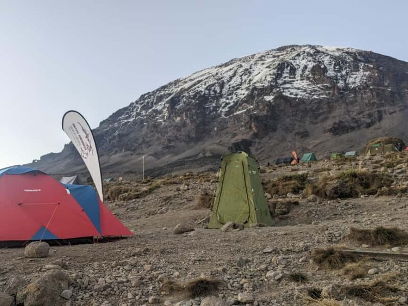 Kilimanjaro: 7-Day Kilimanjaro Umbwe Route Guided Trek - The Experience and Support