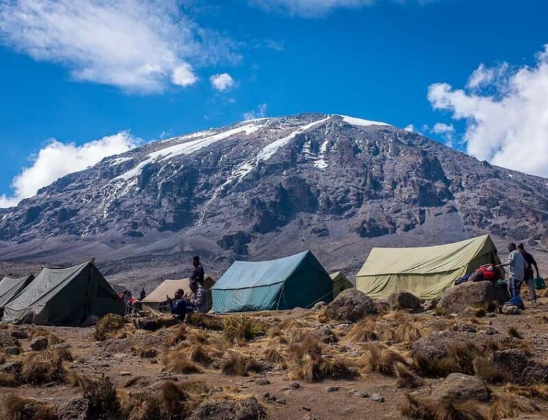 Kilimanjaro: 7-Day Lemosho Route Trek with Summit Attempt - Key Points