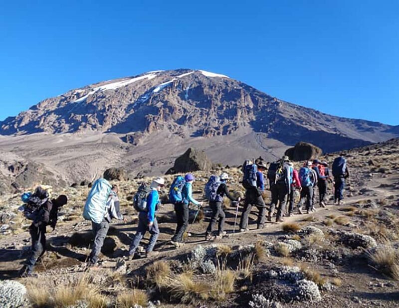 Kilimanjaro: 7-Day Lemosho Route Trek with Summit Attempt - The Sum Up