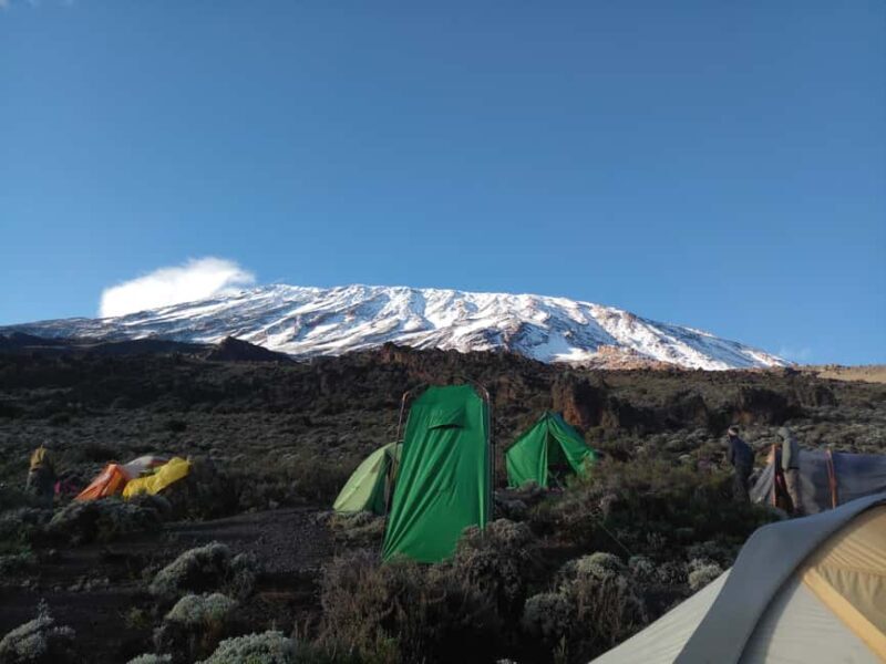 Kilimanjaro: 7-Day Machame Route Trek with 2 Nights Hotel - Key Points