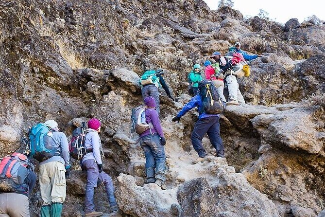 Kilimanjaro 7 Day Private Trekking Experience - FAQs About the Kilimanjaro 7-Day Private Trek