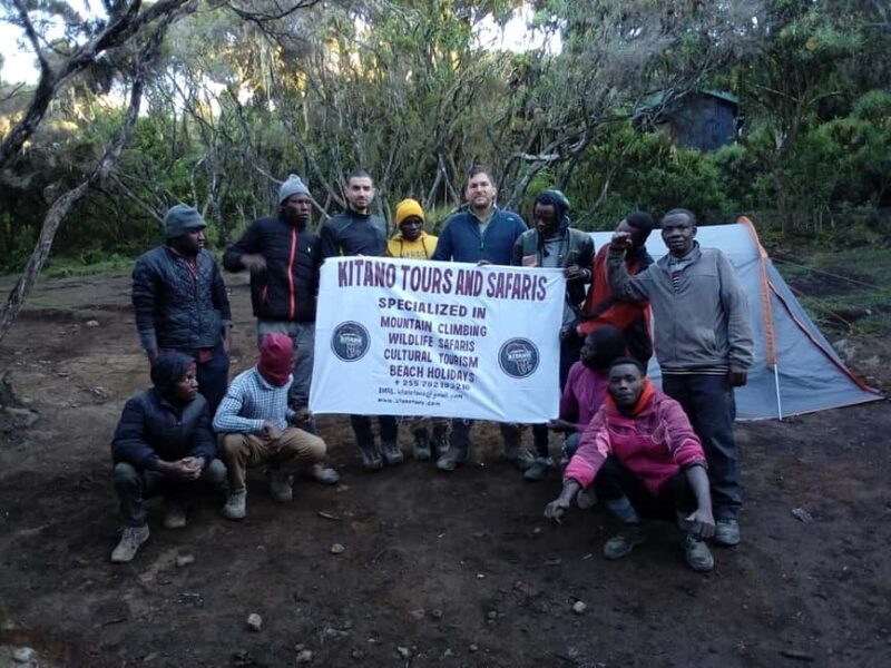 Kilimanjaro: 8-Day Lemosho Route Hiking Tour - The Experience and Itinerary Breakdown