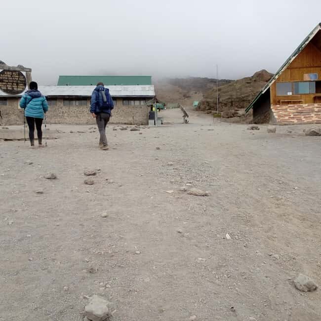 Kilimanjaro: 8-Day Lemosho Route Hiking Tour - Pricing and Value