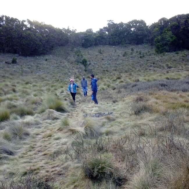 Kilimanjaro: 8-Day Lemosho Route Hiking Tour - The Sum Up