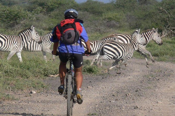Kilimanjaro bike park safari - Key Points