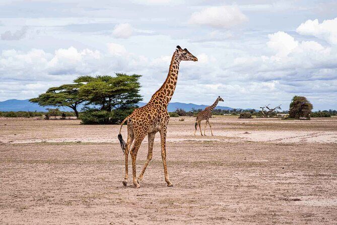 Kilimanjaro bike park safari - FAQ