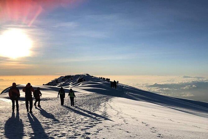 Kilimanjaro Climb - 7 Days Machame Route - The Real Traveler Experience: What Sets This Climb Apart?