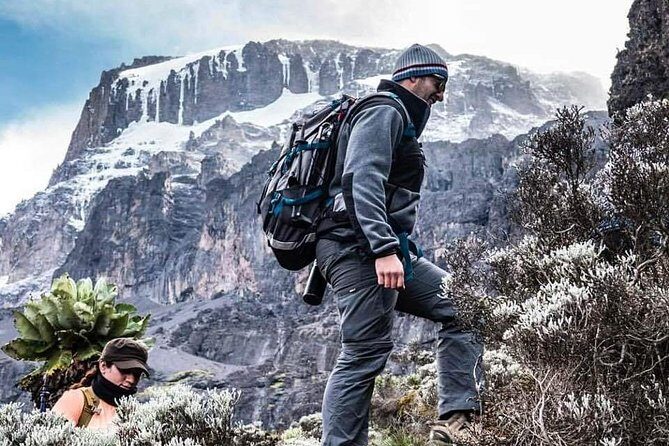 Kilimanjaro Climb - 7 Days Machame Route - FAQ
