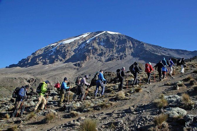 Kilimanjaro Climb - 8 Days Lemosho Route - Key Points