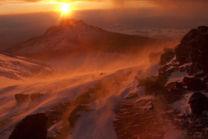 Kilimanjaro Climb - 8 Days Lemosho Route - An In-Depth Look at the Lemosho Route Experience