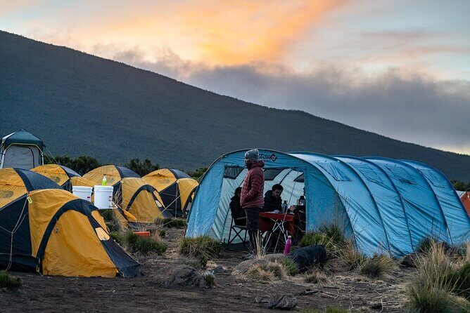 Kilimanjaro climb by Lemosho Route (7-day) - The Experience at a Glance: From Arrival to Summit