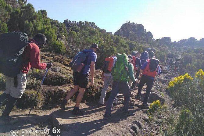 Kilimanjaro Climb- Lemosho Route - Price & Value