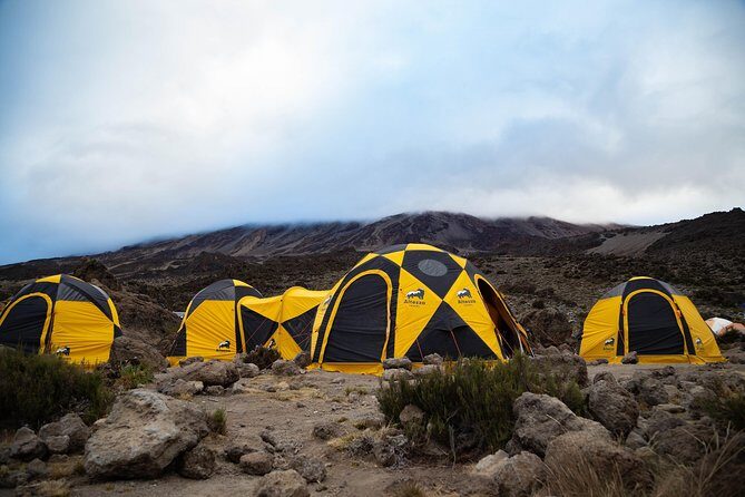 Kilimanjaro climb, Machame Route (7-day) - Overall Experience: What We Loved