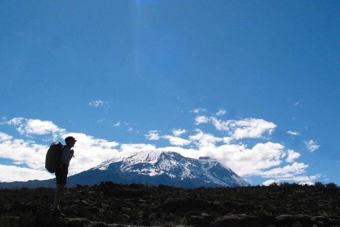 Kilimanjaro Climb  Marangu Route ~ 9 Day - Introduction: Why Consider the Marangu Route with Tusker Trail?