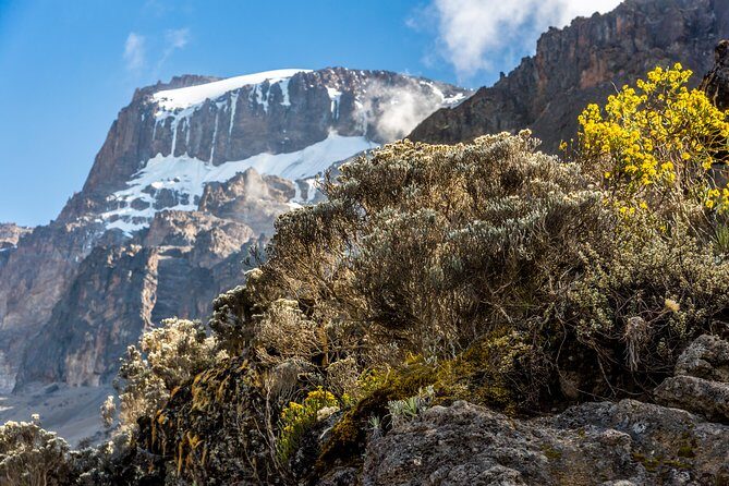 Kilimanjaro climb, Rongai Route (7-day) - FAQ