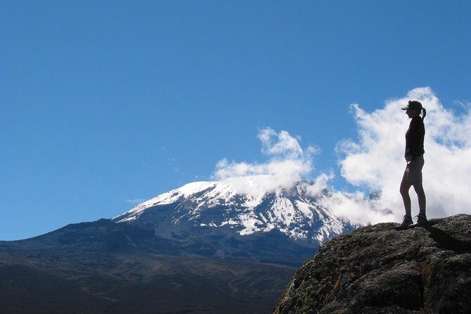 Kilimanjaro Climb & Safari - Lemosho Route - 13 Day - Why This Tour Is a Solid Choice