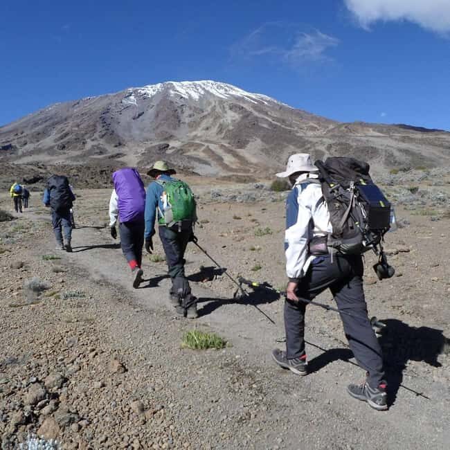 Kilimanjaro Climbing by car, Day Trip for Non-Summit People - Exploring the Kilimanjaro Day Trip by Car