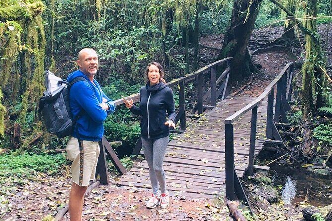Kilimanjaro Day Hike - An In-Depth Look at the Kilimanjaro Day Hike Experience