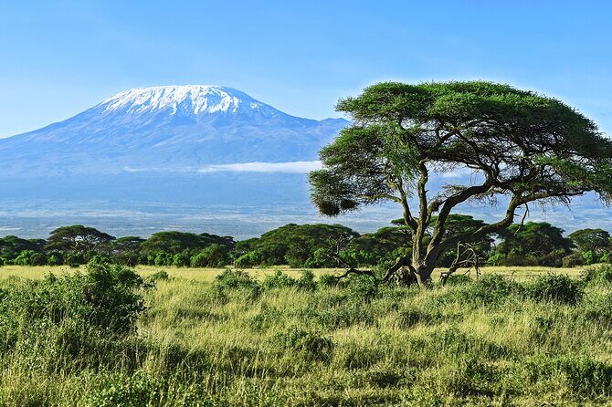 Kilimanjaro Day Hike Marangu Route - Value for Money