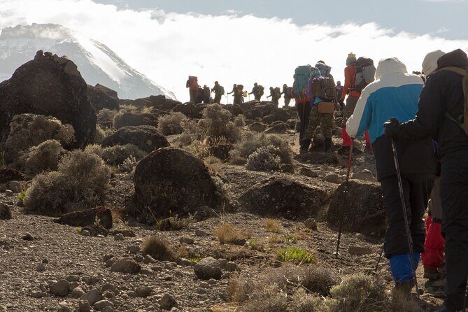 Kilimanjaro Day Hike Marangu Route - The Sum Up
