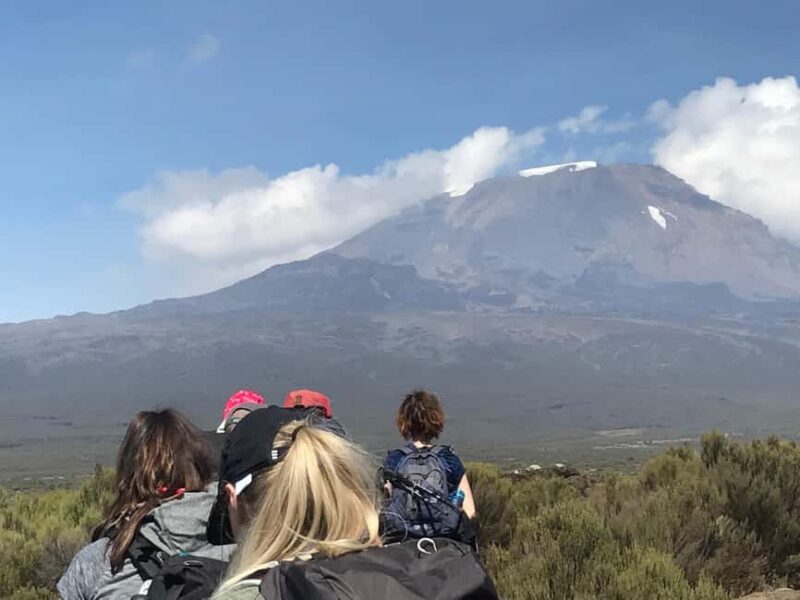 Kilimanjaro Day Hike (Shira Route) - Key Points