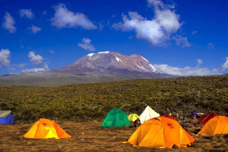 Kilimanjaro Day Hike (Shira Route) - Practicalities and Considerations