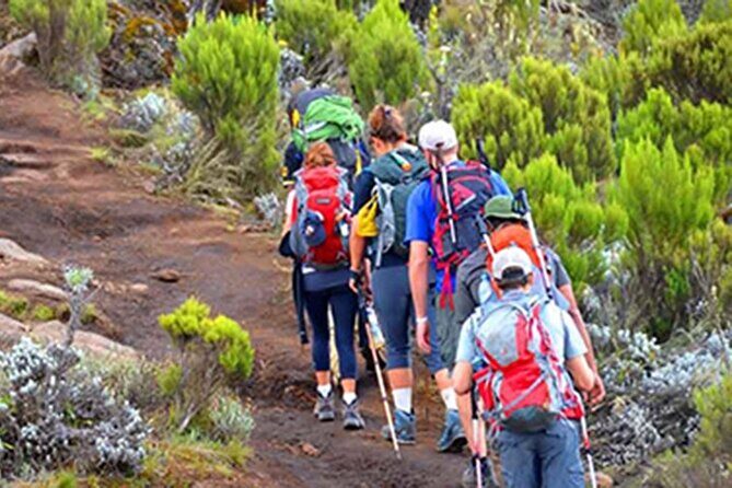 Kilimanjaro day trip starting from Arusha - Who This Tour Is Perfect For