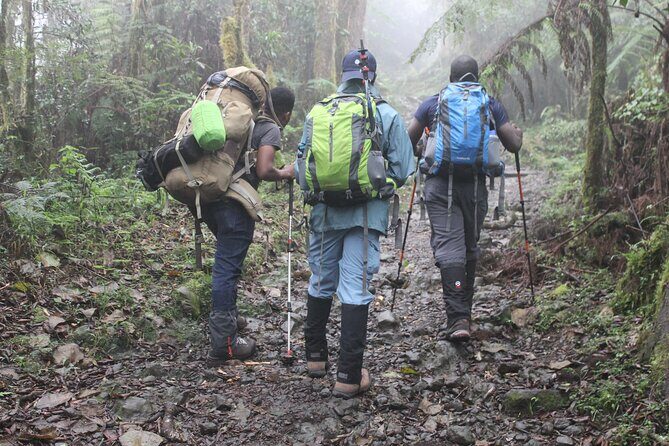Kilimanjaro day trip starting from Arusha - Frequently Asked Questions