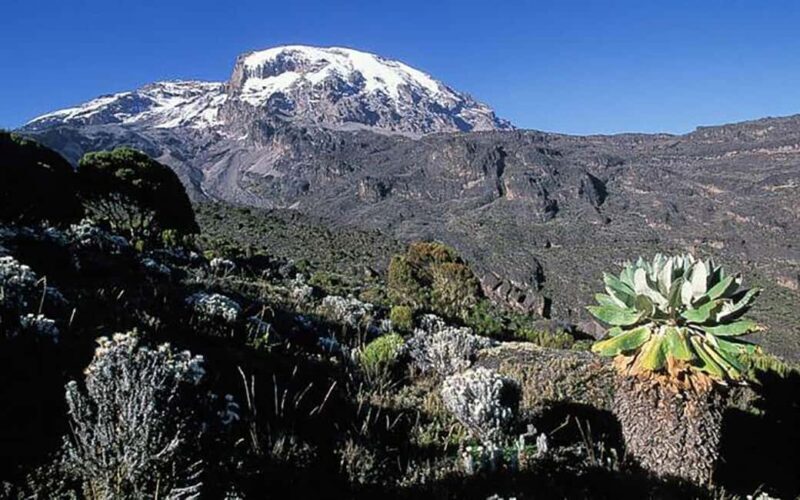 Kilimanjaro in a Day: Unforgettable Marangu Route Adventure - Key Points