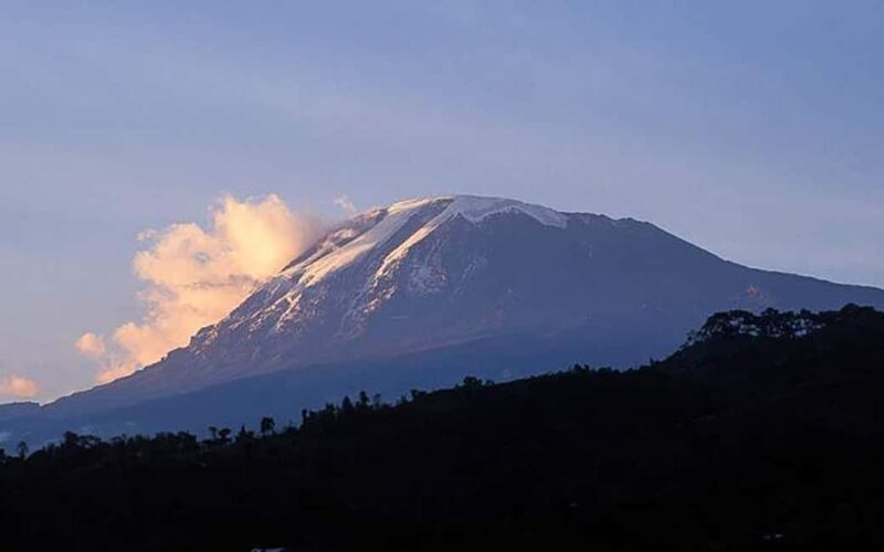 Kilimanjaro in a Day: Unforgettable Marangu Route Adventure - Exploring the Kilimanjaro in a Day: What to Expect