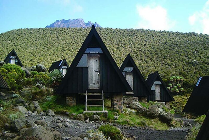Kilimanjaro in a Day: Unforgettable Marangu Route Adventure - Who Is This Tour Best For?