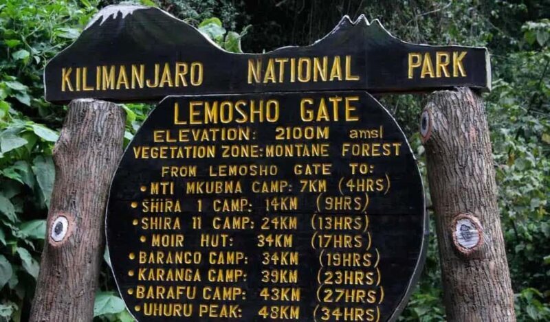 Kilimanjaro: Lemosho Route 7-Day Trek - The Experience Provider: Tanzania Next Level Safaris