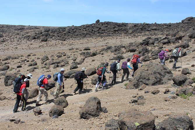 Kilimanjaro Lemosho Route 7 Days - The Itinerary in Detail: What to Expect Each Day