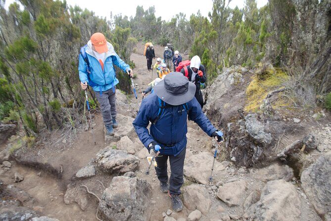 Kilimanjaro Lemosho Route 7 Days - Final Thoughts