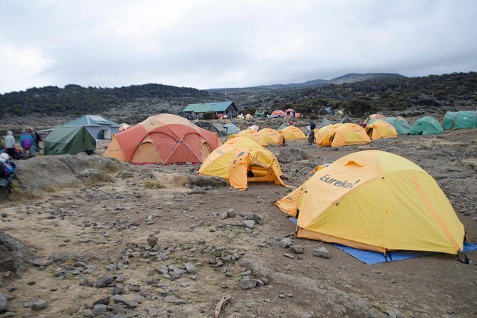 Kilimanjaro Lemosho Route 8 Days - Who is This Tour Ideal For?