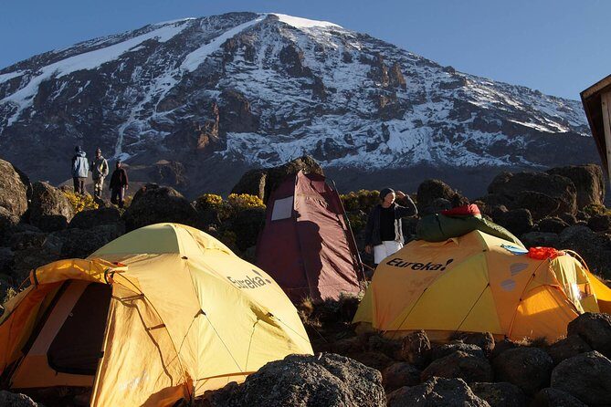 Kilimanjaro-lemosho Route 8 Days Itinerary - An Introduction to the Kilimanjaro Lemosho Route Tour