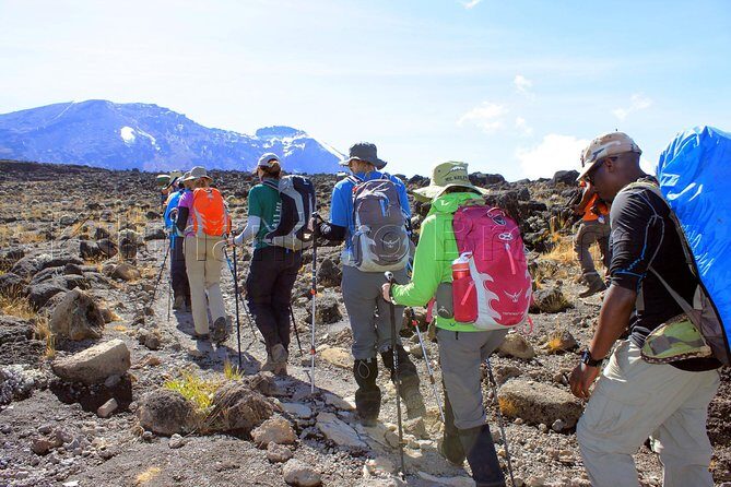 Kilimanjaro-lemosho Route 8 Days Itinerary - Practical Considerations