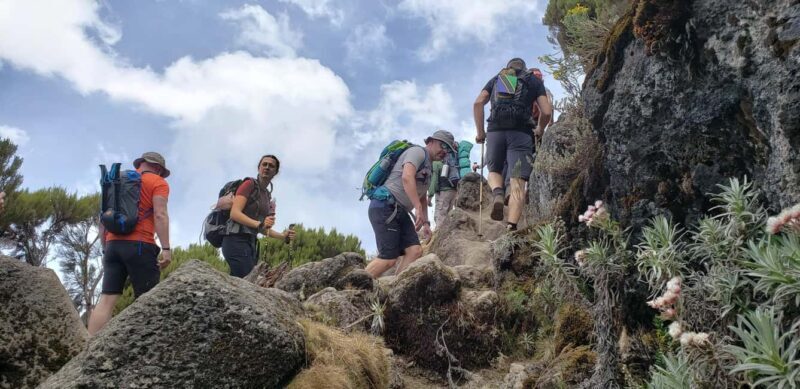Kilimanjaro: Lemosho Route Trek with Airport Transfer - Detailed Exploration of the Kilimanjaro Lemosho Route Trek