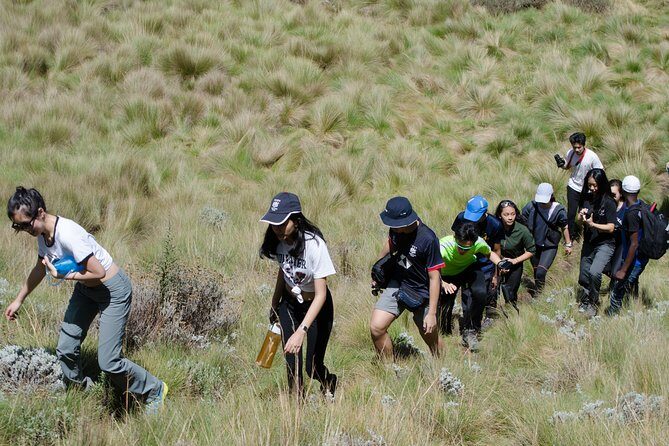 Kilimanjaro Marangu Route 6 Days - Final Thoughts: Who Is This Tour Perfect For?