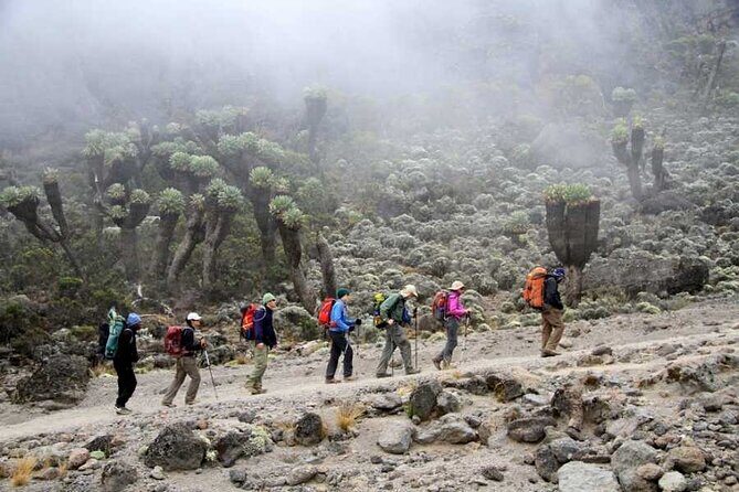 Kilimanjaro-marangu Route 6 Days Itinerary - Who Will Love This Tour?