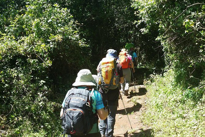 Kilimanjaro Marangu Route Day Tour - Key Points