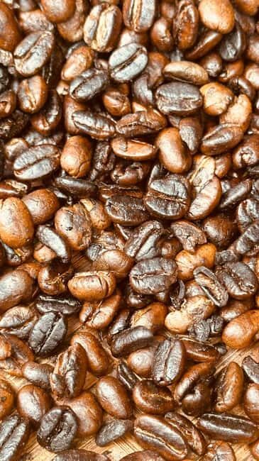 Kilimanjaro: Materuni Village Coffee Tour - Introduction: A Flavorful Journey into Tanzanian Coffee Culture