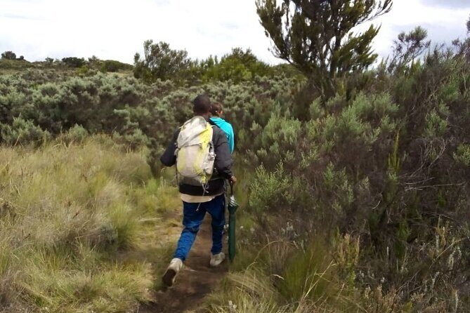 Kilimanjaro National Park Day Trip - Why This Tour Stands Out
