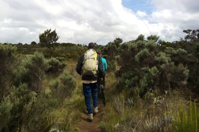 Kilimanjaro National Park Day Trip - Who Should Consider This Tour?