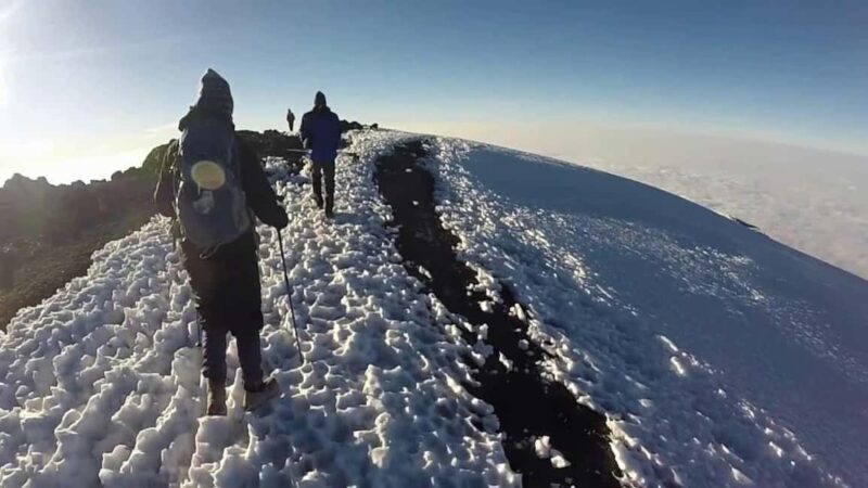 Kilimanjaro National Park  Shira Plateau, day hike - Exploring Kilimanjaro’s Shira Plateau: What to Expect