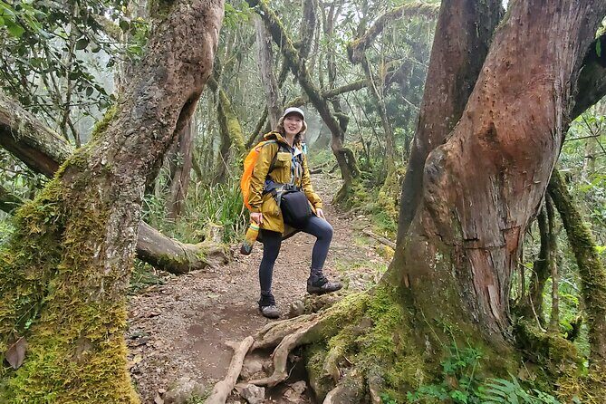 Kilimanjaro Northern Circuit Route 8 Days - Key Points