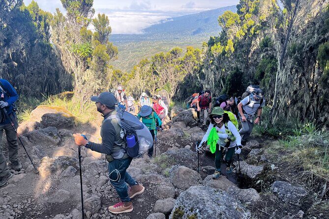 Kilimanjaro Northern Circuit Route 8 Days - Who Is This Tour Best For?