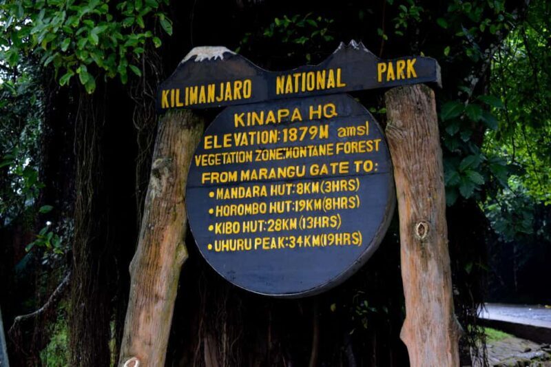 Kilimanjaro: Overnight Camp at Mandara Huts - An In-Depth Look at the Kilimanjaro Overnight Camp Experience