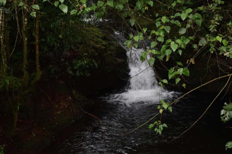 Kilimanjaro: Overnight Camp at Mandara Huts - Final Thoughts